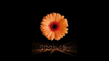 صباح الخير🌼 اجمل حالات واتس اب مقاطع قصيره🌼 قران كريم ان الله وملائكته يصلون على النبي🌼 بدون حقوق