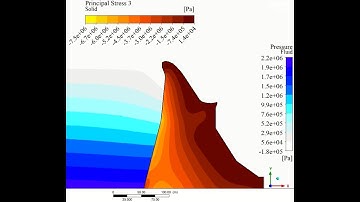 Structural response of a dam to Earthquake - Fluid Structure Interaction modeling