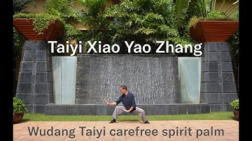 Taiyi Xiao Yao Zhang | Wudang Taiyi carefree palm | Liangyi | Taiji | Yin&Yang | Vitality | Energy