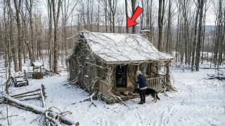 Left With Nothing, She Bought a Vine-Covered Cabin for Pennies — Her German Shepherd Found the Truth