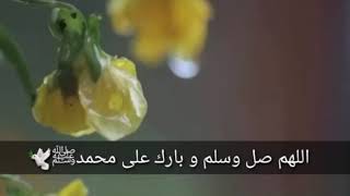 حالات واتس آب يوم الجمعة - Short Video Quran