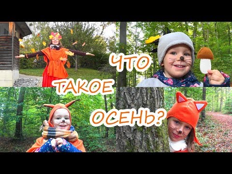Живые стихи. Что