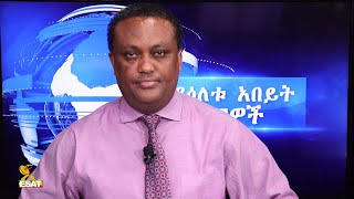 Ethiopia - ESAT DC Daily News Wed 03 Feb 2021