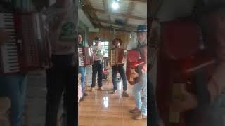 Pedrinho Tocando Bugio Da Doralise Cover