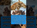 ١٨ أبريل ٢٠٢٦