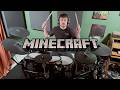 Minecraft Aria Math Drum Cover