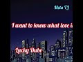 Lucky Dube- I want to know what love is- lyrics