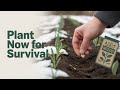 15 WWII Crops You Must Plant in January to Feed Your Family for a Year