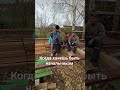 начальник пришел #юмор #весельчак