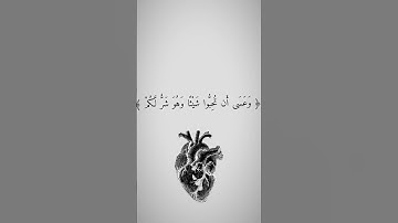 #تلاوة_خاشعة تريح القلب