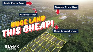 Exploring properties with sellers financing near San Ignacio Town!