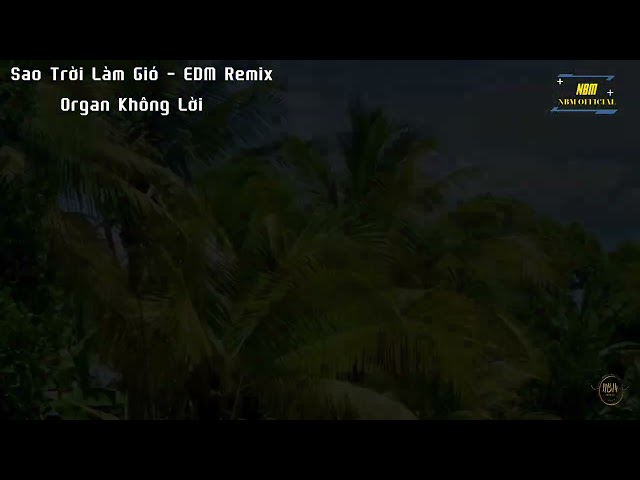 Sao Trời Làm Gió Remix || ST: Hồ Phi Nal  || Organ Không Lời class=