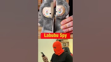 Hidden Camera Inside Labubu Doll !😱 #Shorts #LabubuDoll #HiddenCamera #SpyToy #Lifehacks2025