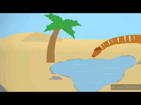 Diplodocus Vs Allosaurus