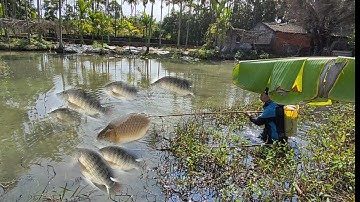 kích cá hai ông cháu kích cá trong thùng muống không ngờ gặp toàn cá khủng