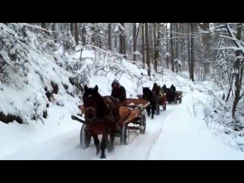 Iarna In Bucovina Youtube