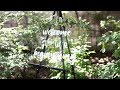 DIY Acrylic Wedding Signage DIY Acrylic Wedding Signage