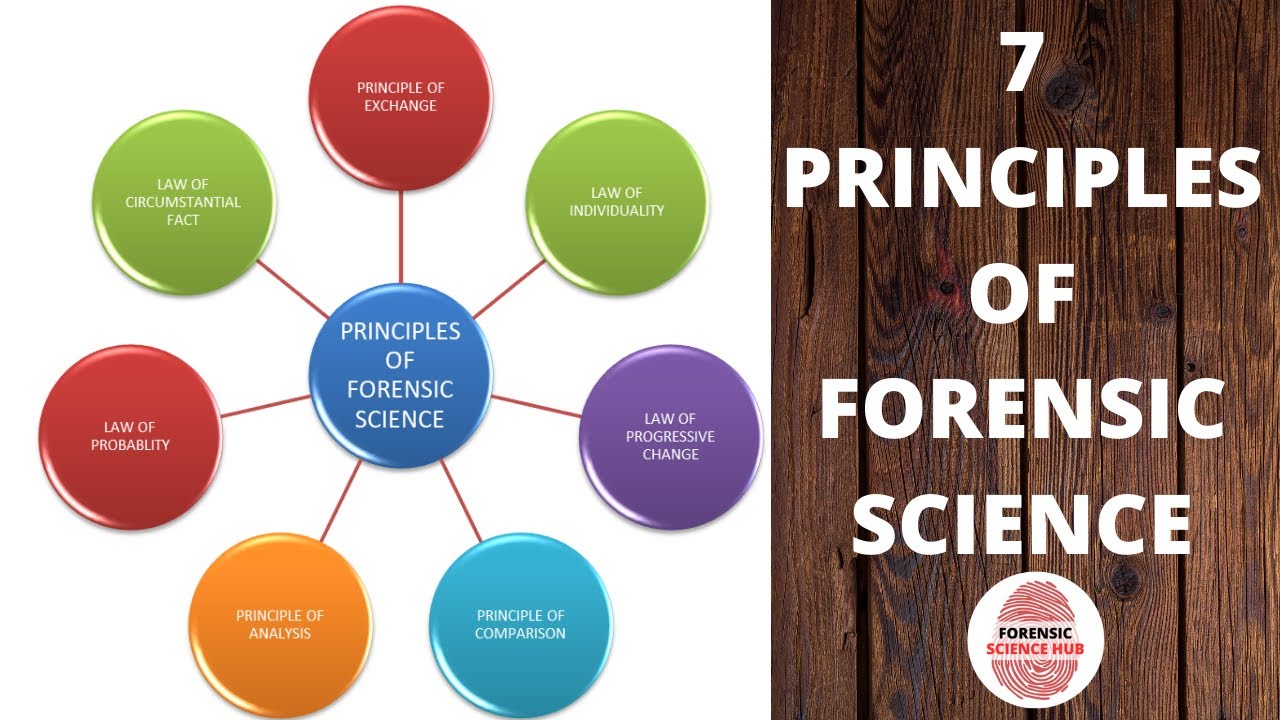 Forensic Science Coggle Diagram - Gambaran