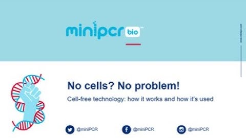 Cell-Free Technology: How it works and how it