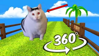 Huh Cat chase you in VR 360 video