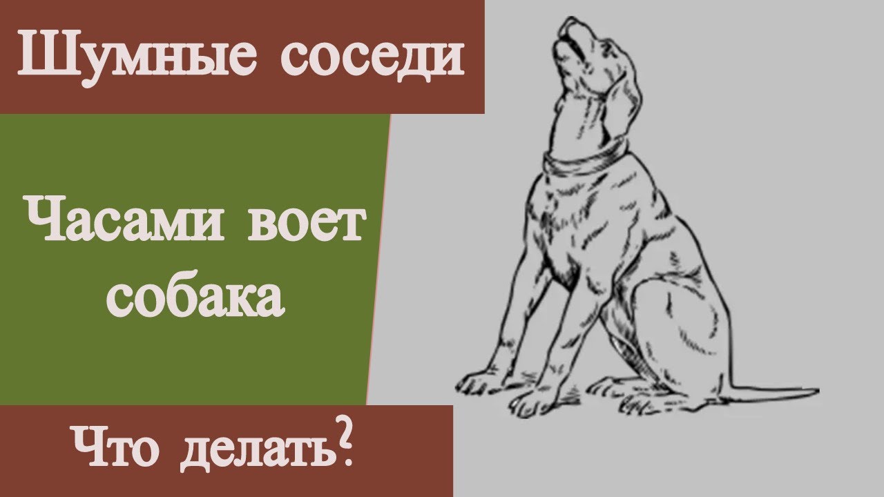 Лай собаки мешает спать что делать. Собака воет. Объявление ваша собака воет. Собака лает мем. Объявление о воющей собаке.