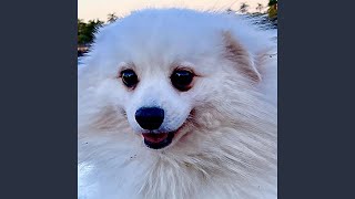 Take Me In Your Arms