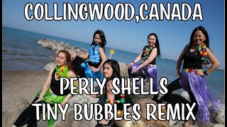 Video thumbnail of "Pearly Shells - Tiny Bubble_REMIX"