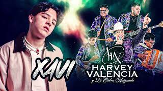 Xavi x Harvey Valencia - los mas guapos mix rolas para dedicar, y pistear