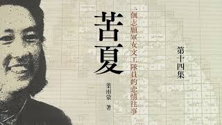 有声书《 苦夏 -- 一个志愿军女文工队员的悲情往事 》 原著：叶雨蒙  第十四集   #现代文学#抗美援朝#韩战#大陆下架