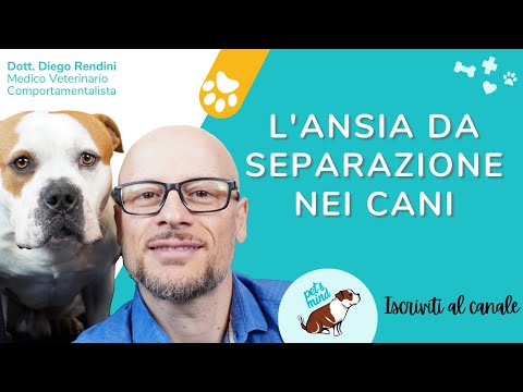 Video: Perché L'ansia Da Separazione Del Tuo Cane Non è Colpa Tua?