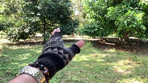 (19)Mảnh vườn tuyệt đẹp mặt tiền Ql20 tại Madagui-Đạhuoai rất thích hợp nghỉ dưỡng . Giá 8tỷ