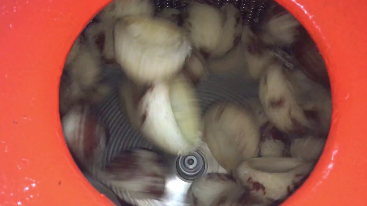 Dry Coconut Brown Skin Paring Peeling Machine