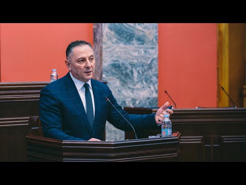 6 თვე გავიდა, სად არის გამოძიების შედეგები? - ნაცვლიშვილი გომელაურს შოვის ტრაგედიაზე