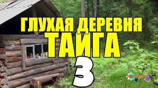 ЗАТЕРЯННАЯ ДЕРЕВНЯ В ТАЙГЕ | ПОХИЩЕНИЕ НЕВЕСТЫ | СВАДЬБА | ЗАГОВОР НА ЗАИМКЕ 3 из 5 ЗАТЕРЯННАЯ ДЕРЕВНЯ В ТАЙГЕ | ПОХИЩЕНИЕ НЕВЕСТЫ | СВАДЬБА | ЗАГОВОР НА ЗАИМКЕ 3 из 5