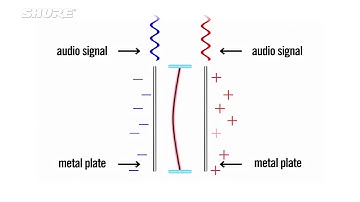 How Electrostastic Headphone Driver Work