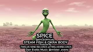 Spice STEAM FISH & OKRA BODY