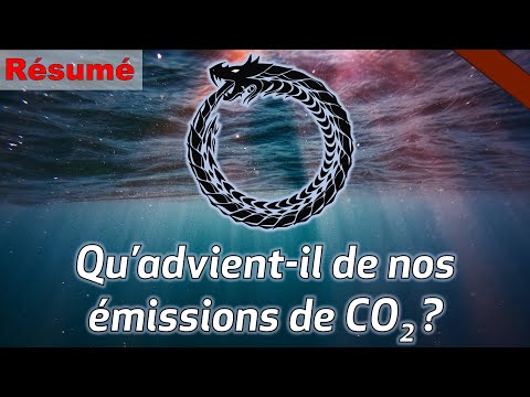 Vidéo: Pourquoi le co2 est linéaire alors que le so2 est courbé ?