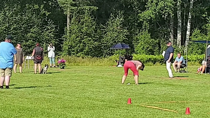 TviTvi in the nosetest in the Norwegian Championch...