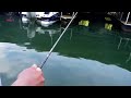 The Gunner Series of Fishing Rods from Denali