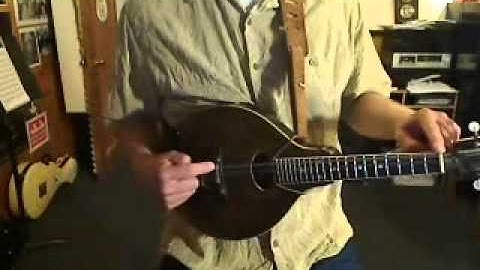 Mandolin Basics Vol 4a left hand.wmv
