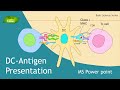 Antigen presentation  structure  illustration  design with ms power point  basic science series