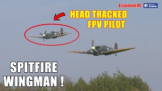 BRILLIANT !!! RC SPITFIRE WINGMAN | DOM'S FIRST FORMATION DUO FLIGHT | HEADTRACKED DJI FPV