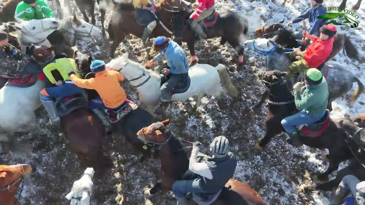 Бузкашии д Навобод 01 01 2026 кисми 1 UMED VIDEO Tajikistan zarafshon 