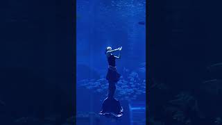 2023年6月17-18日中国美人鱼公开赛在昆明融创海世界举行 | China Mermaid Open Held in Kunming Sunac Sea World 2023
