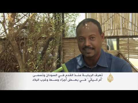 الطنبور السوداني عزف على أوتار تراث يأبى الاندثار