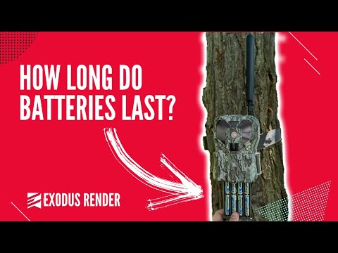 How Long Do Batteries Last in a Trail Camera: Maximize Lifespan