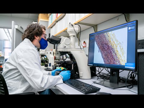 UK Research Could Lead to Treatment for Aortic Aneurysms