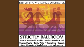 Video thumbnail of "Dutch Show & Dance Orchestra - The Winner Takes It All (Rumba)"