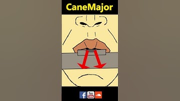 The Teardrop Flute Embouchure