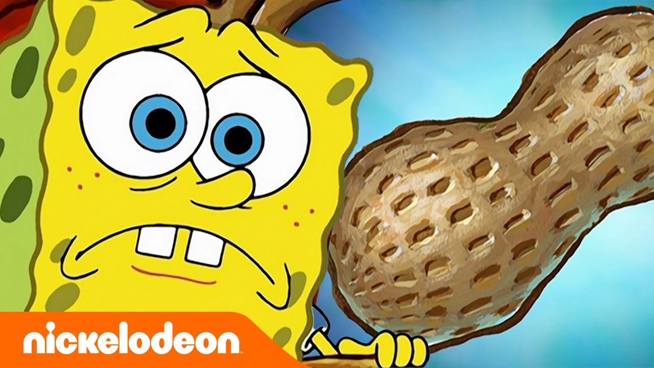 ⁣سبونج بوب | سبونج بوب يسبب كارثة محار | Nickelodeon Arabia